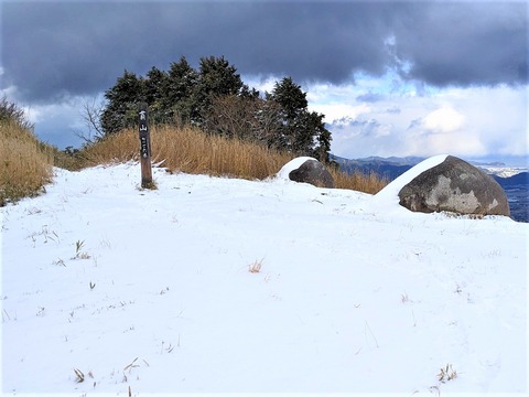 PXL_20221219_041834526