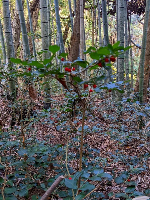 PXL_20221210_012145254