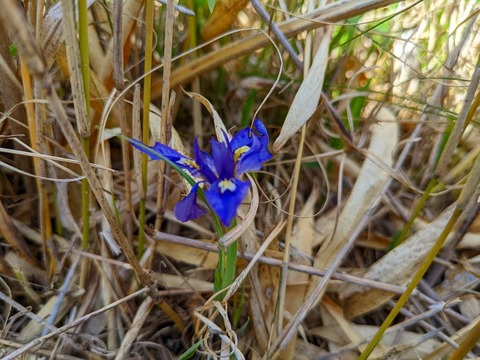 PXL_20220417_005134664