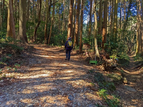 PXL_20220212_015000177