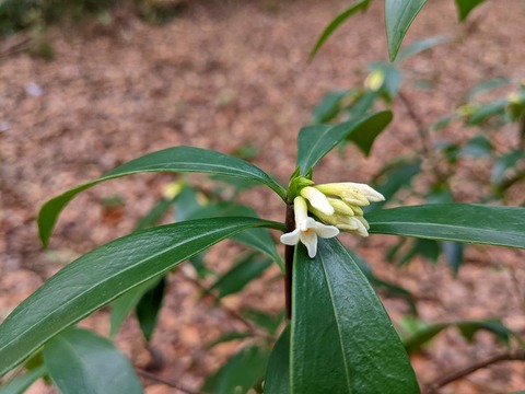 PXL_20220212_030534202