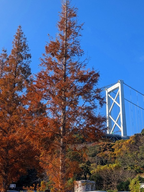 PXL_20251209_012351576