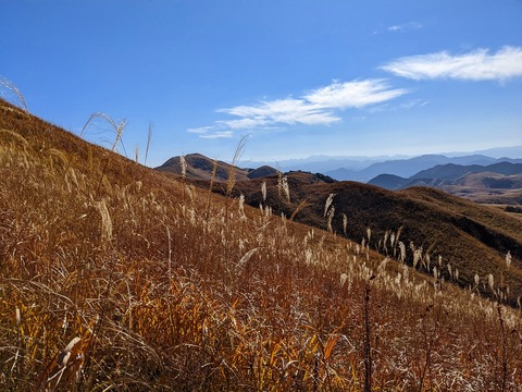 PXL_20211209_032251217