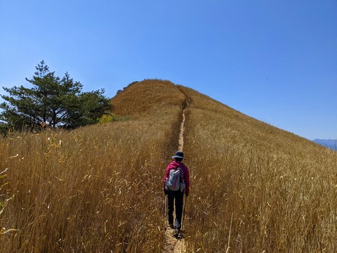 PXL_20220417_012958917