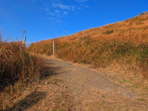 PXL_20251207_004839313