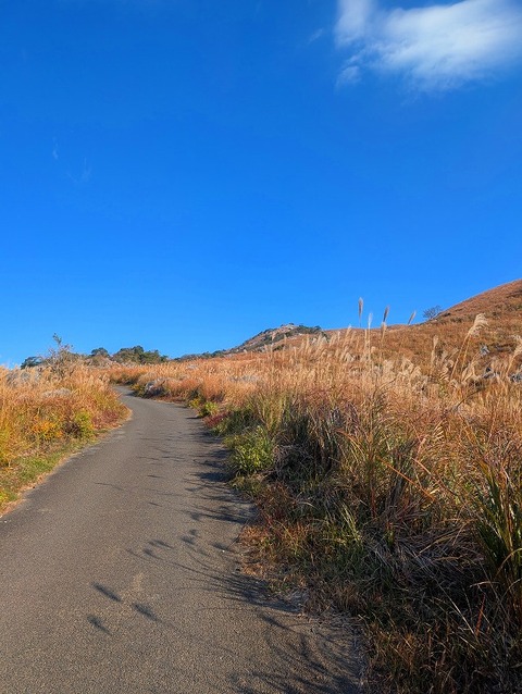 PXL_20251207_003341152