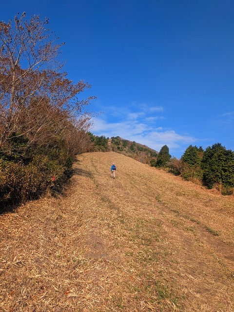 PXL_20251207_015417665