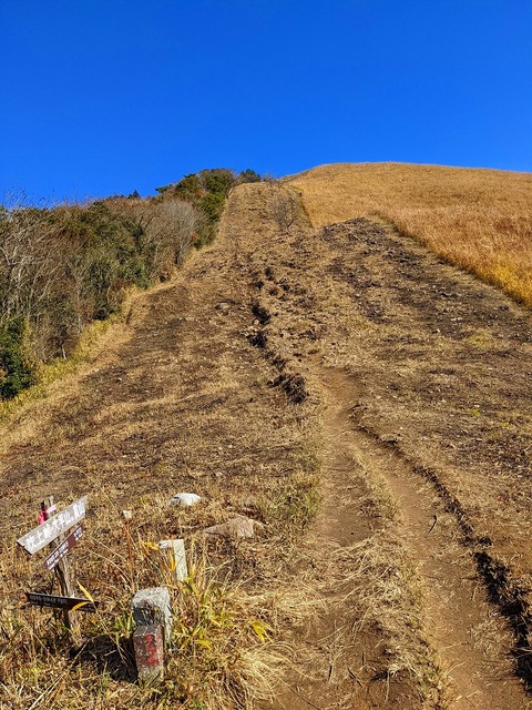 PXL_20211209_032656648