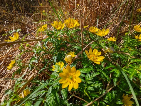 PXL_20220417_010154860