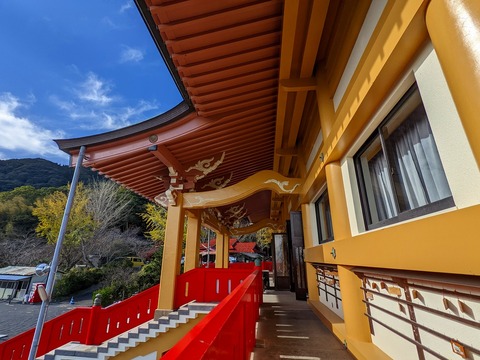 PXL_20221203_024513526