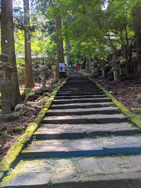 PXL_20210728_010206970