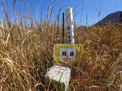 PXL_20220417_013230517