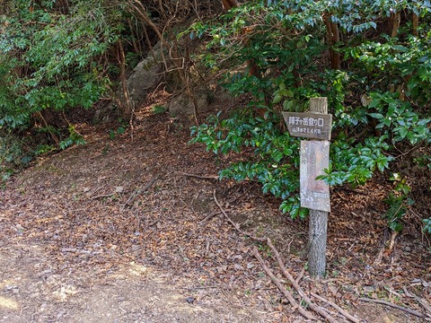 PXL_20220226_045616092