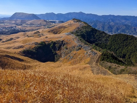 PXL_20211209_031555048