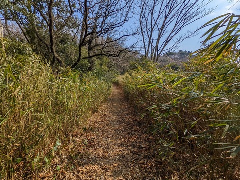 PXL_20220226_051140835