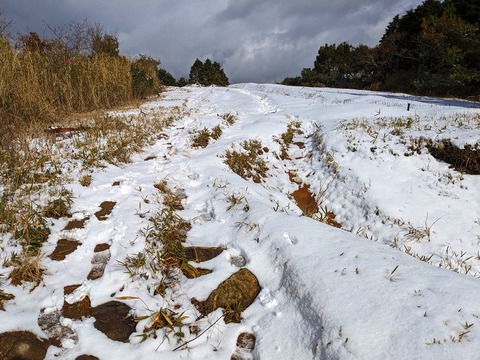 PXL_20221219_040050497