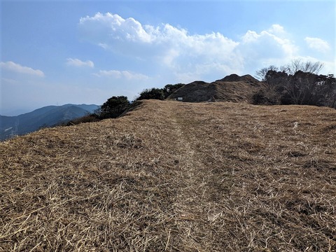 PXL_20220226_053803422