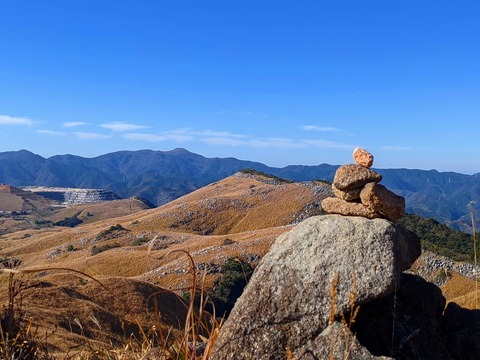 PXL_20211209_013438361