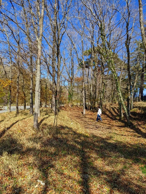 PXL_20220417_062412748