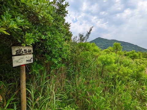 PXL_20220617_021528805