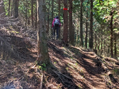 PXL_20220417_011145378.PORTRAIT