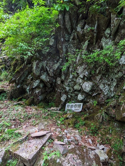 PXL_20210728_015907187