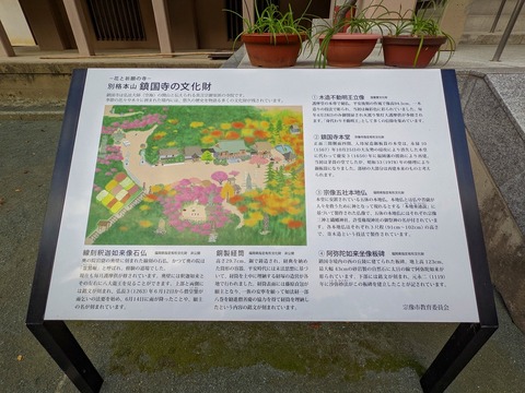 PXL_20221202_061123832