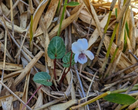 PXL_20220417_005238004