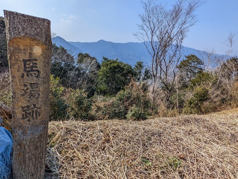 PXL_20220226_053907673