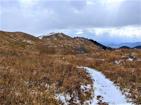 PXL_20221219_033228084