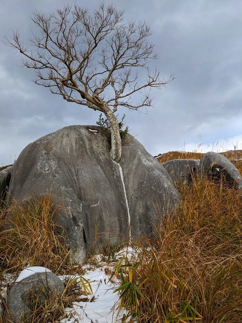 PXL_20221219_031044742