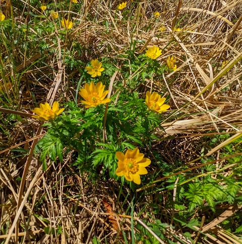 PXL_20220417_010140384