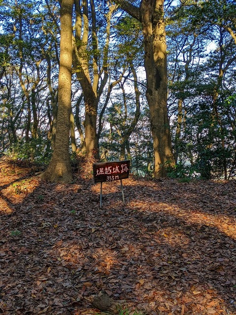 PXL_20221210_024422882.PORTRAIT