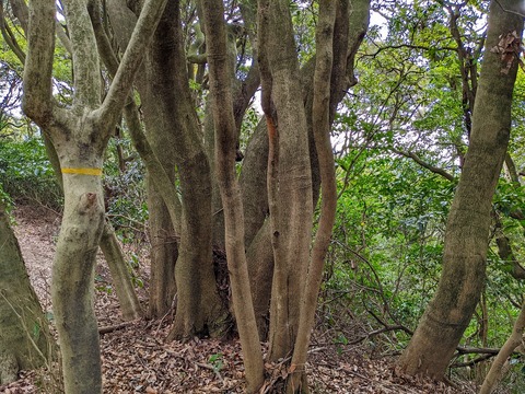 PXL_20220212_025951133