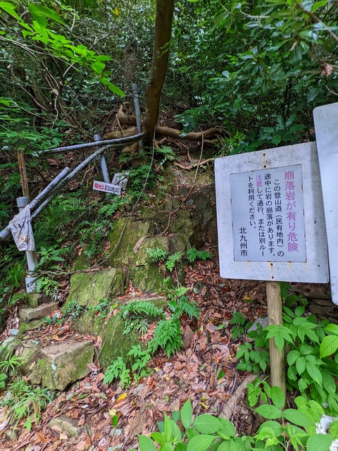 PXL_20220617_011434774