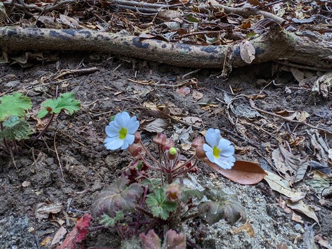 PXL_20220212_024339117