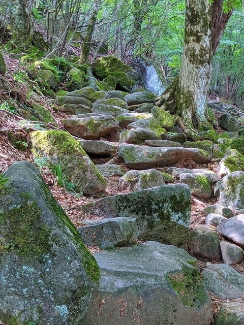 PXL_20210728_014129648