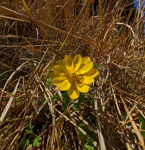 PXL_20220417_010304452