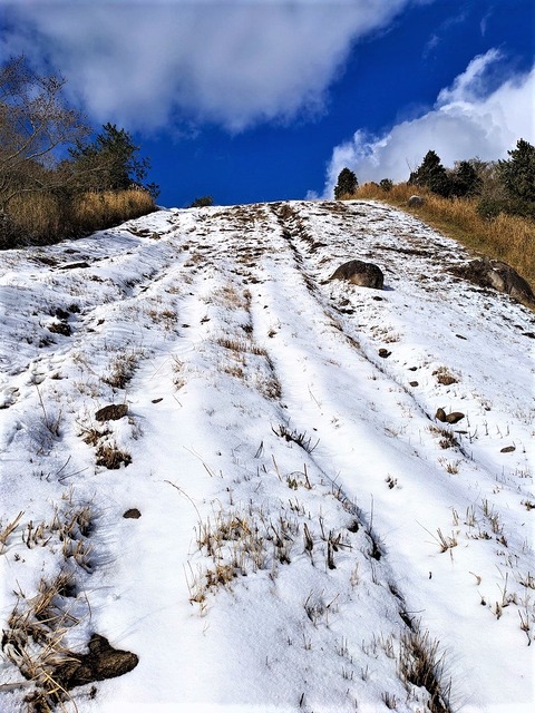 PXL_20221219_041022203