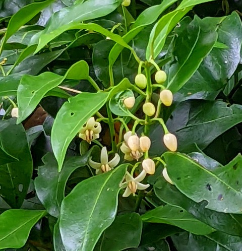 PXL_20220703_025808794