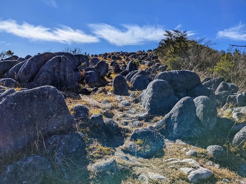 PXL_20211209_032920493