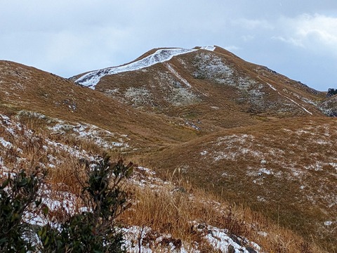 PXL_20221219_033548028