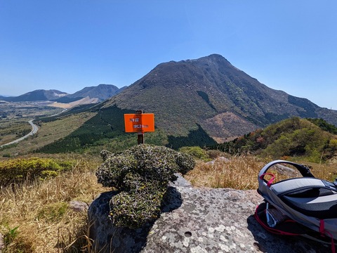 PXL_20220417_020119051