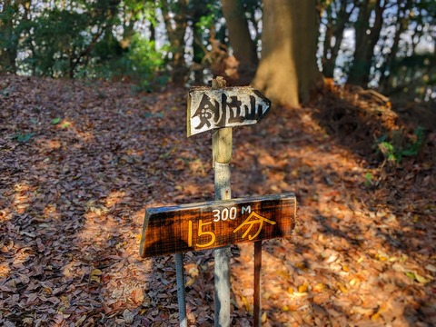 PXL_20221210_024445289.PORTRAIT