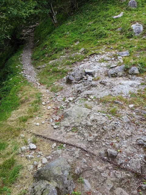 PXL_20210728_021317590