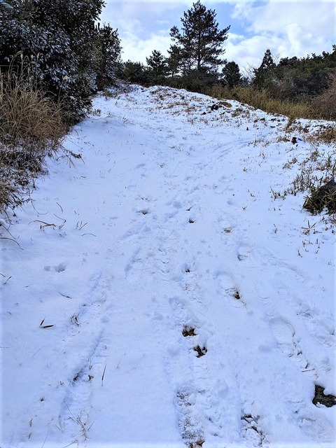 PXL_20221219_035631348