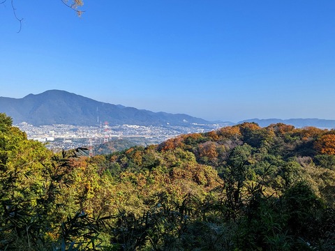 PXL_20221210_015311941