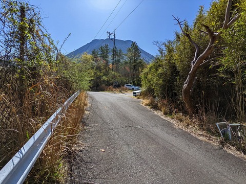 PXL_20220417_002541245