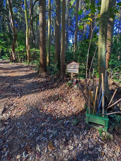 PXL_20221210_011135180