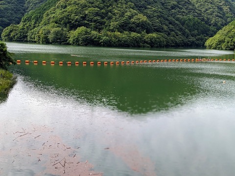 PXL_20210814_234541966.PORTRAIT